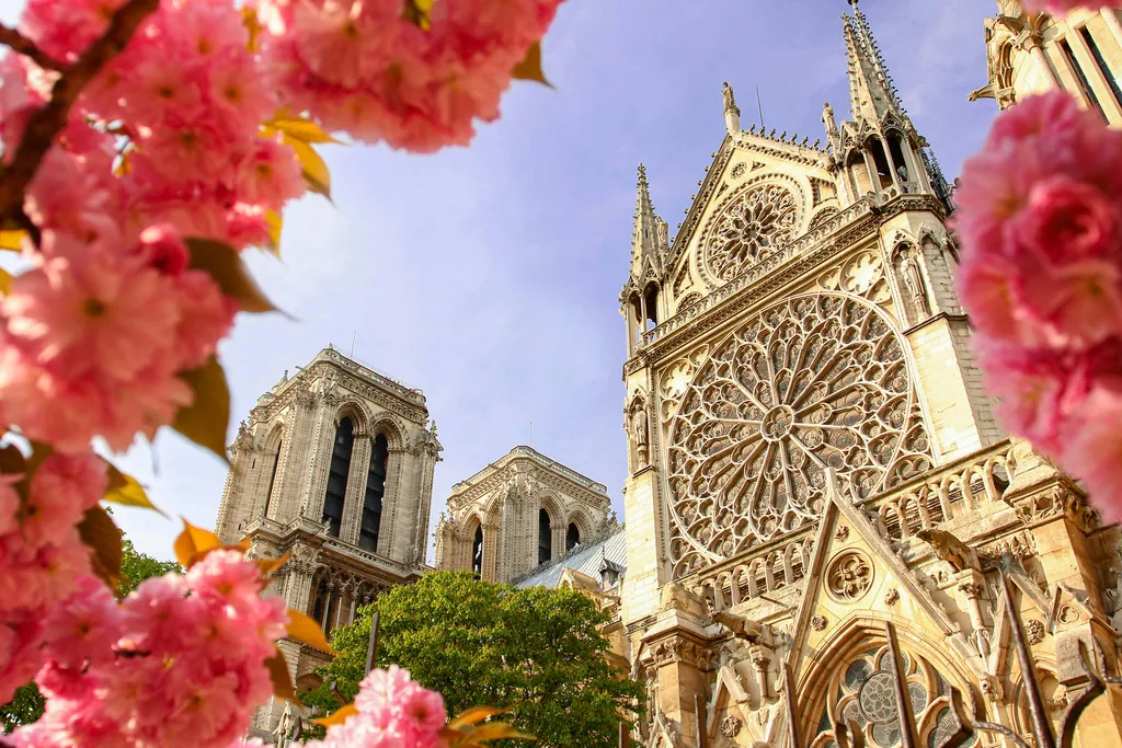 Paris experiences near Notre-Dame de Paris